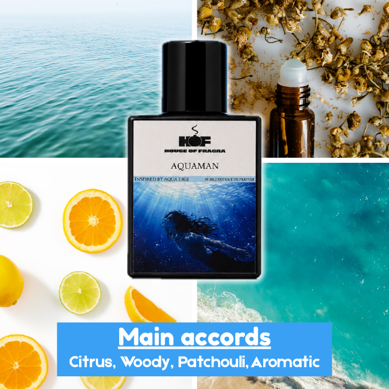 Aquaman | Inspired by Aqua Digi | 50 ml