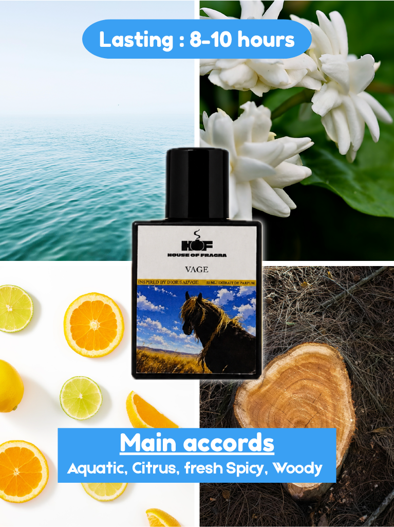 Vage | Inspired by Deor Sauvge | 50 ml