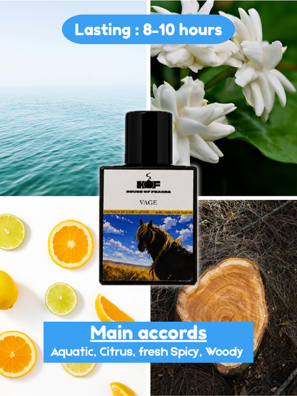 Vage | Inspired by Deor Sauvge | 50 ml